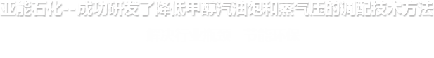 亞能石化--解決行業(yè)瓶頸  節(jié)能環(huán)保  品質(zhì)第一